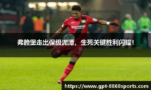 8868体育app下载