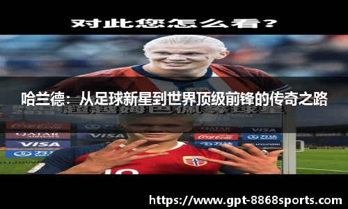 8868体育官网